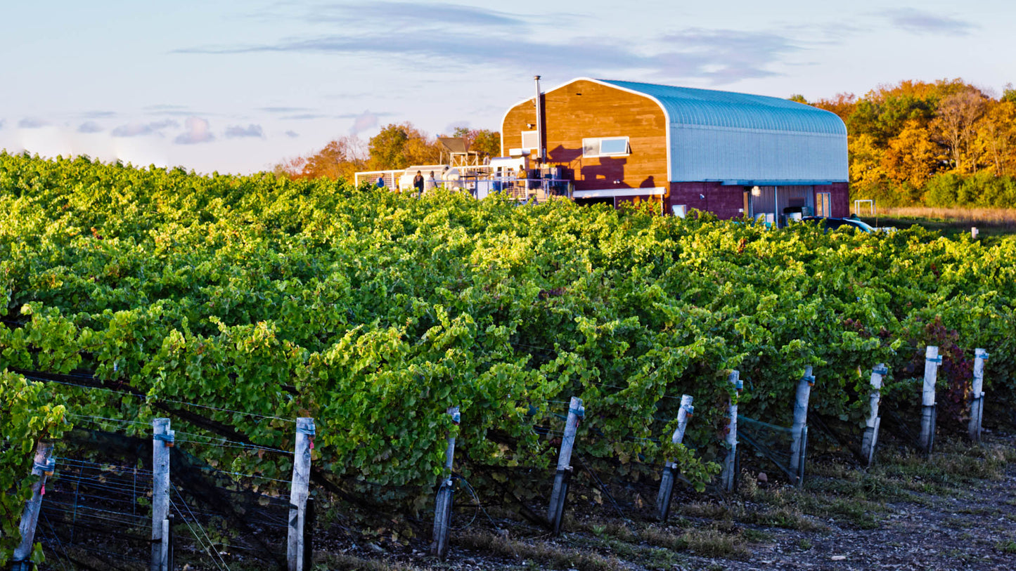 Prince Edward County Wine Tour