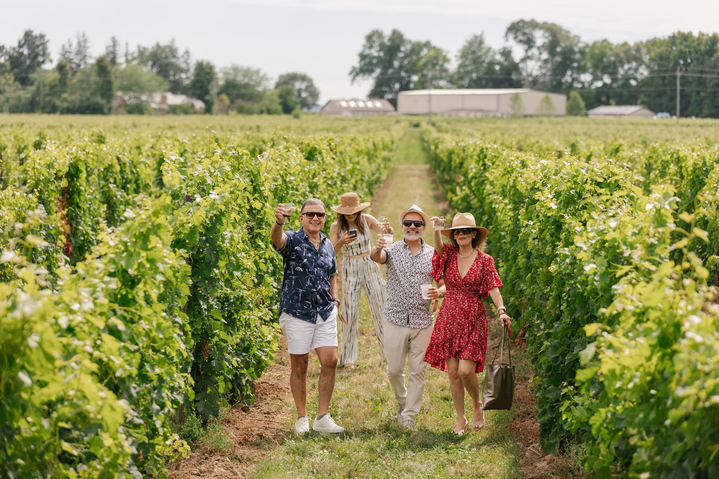 Private Niagara Winery Tour & Gourmet Lunch