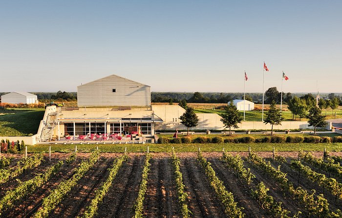 Prince Edward County Wine Tour