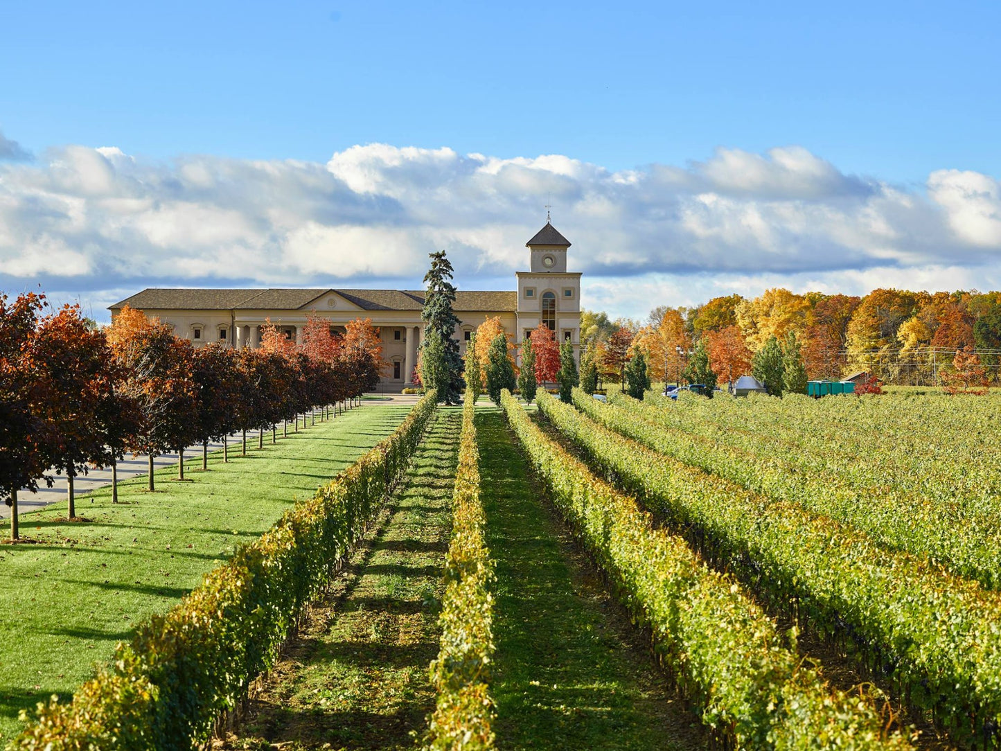 Afternoon Tour In Wine Country